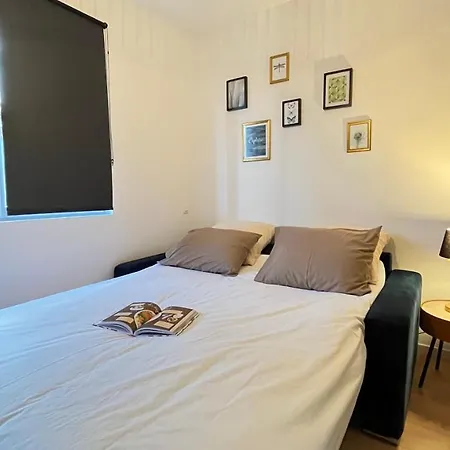 شقة Jungle Boogie *