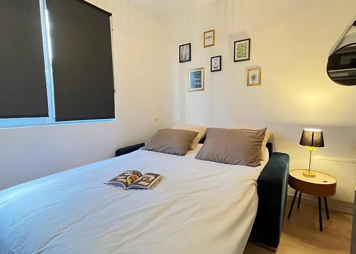 شقة Jungle Boogie *