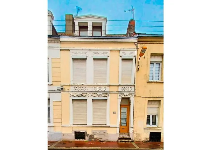 Jungle Boogie كاليه